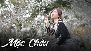 #8 Đi hết Mộc Châu: từ Đông sang Xuân tới Hè ở xứ Chè và Hoa |The Hippy Family