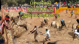 2.palamedu jallikattu Collection point part-2 | jallikattu alaparaigal | #jallikattu #manjuvirattu