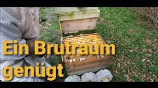 Imkern mit nur einem Brutraum - Eine Zarge Zander genügt