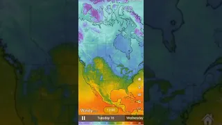 Temperature Forecast of North America for the next Three days.-Windy.com