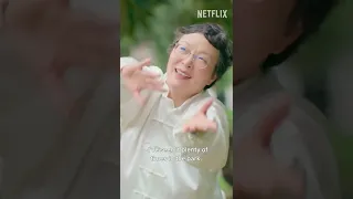 What is the Purpose of "Tai Chi" ?  | Mind Your Manners  | Netflix