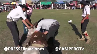 La Carrera de los Burritos Fiesta del Ternero Sauceño 2020 DONKEY Campero Tv