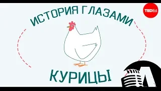 ИСТОРИЯ ГЛАЗАМИ КУРИЦЫ | RUS VOICE [Ted-ed на русском]