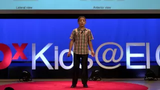 Engage in Science | Fadi Jabraeel | TEDxKids@ElCajon