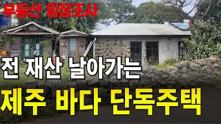 '이걸 몰라' 현실은 개털인데. 제주도 생활 접고 떠나는 이유!