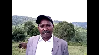 Restoring the beauty of Kirisia Forest in Samburu County