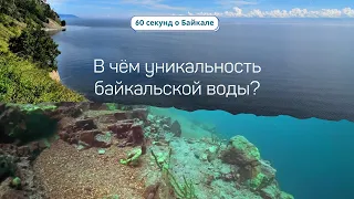 60 секунд о Байкале. В чём уникальность байкальской воды?