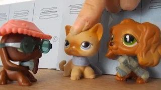 What If LPS: Popular Was Realistic?