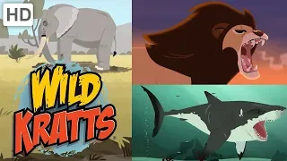 Wild Kratts 🦁🐘 Amazing Animals! (Part 1) 🦈🦇 Kids Videos