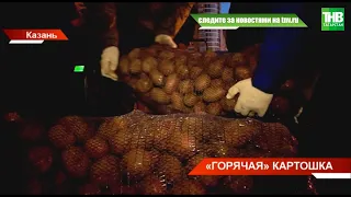 В Татарстане - картофельный ажиотаж: на ярмарках выстраиваются огромные очереди | ТНВ