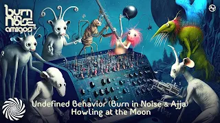 Undefined Behavior (Burn in Noise & Ajja) - Howling at the Moon