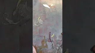 baami fish catching rewa machhi 😱😱#viral #trending #viralvideo #fishing