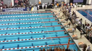 2017 SEC 200 Medley Relay. Lane 3: TAMU