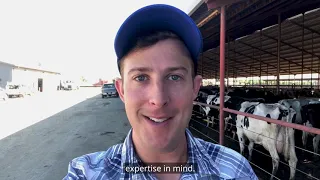 Vierra Dairy Farms | DeLaval Rotary Virtual Tour