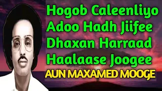 Hogob Caleenliyo adoo hadh jiifee | Nabsiga Hiishaan | Maxamed mooge heestii nabsiga  | mudugboy