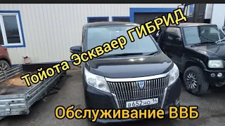 Тойота Эскваер ГИБРИД правильная диагностика высоковольтной батареи ВВБ г.Якутск