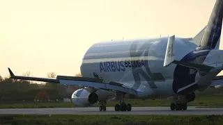 Airbus A330-743L BelugaXL landing at Hamburg-Finkenwerder Airport