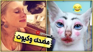 قطط مضحكة جداً - اضحك مع القطط حتي البكاء 😂 #4 (NEW)