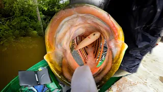 15 Pound Bass SWALLOWS Topwater Amidst A Solar ECLIPSE