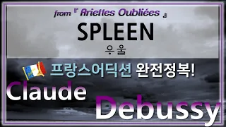 Debussy : Spleen 우울 (from. ariettes oubliées) - 홍연출의 프랑스어 뜻풀이 & 딕션 완전정복!