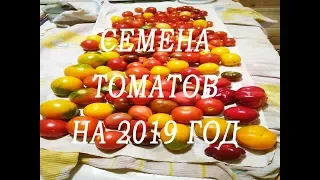 Семена томатов на 2019 год