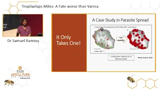 Dr Sammy Ramsey - The Tropilaelaps Mite: A Fate Far Worse Than Varroa
