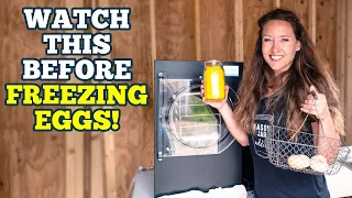 How I Preserve Eggs for a Year | Freeze Dried Eggs vs. Frozen Eggs w/ blind taste test