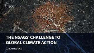 The NSAGs’ challenge to global climate action