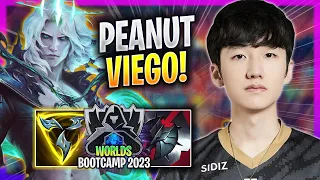 PEANUT IS SUPER CLEAN WITH VIEGO! - GEN Peanut Plays Viego JUNGLE vs Fiddlesticks! | Bootcamp 2023