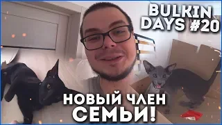 МОЙ НОВЫЙ ЧЛЕН СЕМЬИ...! КОГДА  Я ПОКАЖУ СВОЙ ДОМ?! (BULKIN DAYS #20)