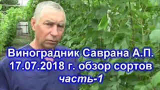 Виноградник Саврана А П  17 07 2018 часть 1