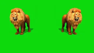 two lion template video