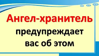 Ангел-хранитель вас предупреждает об этом. На какие знаки нужно обратить внимание и не игнорировать