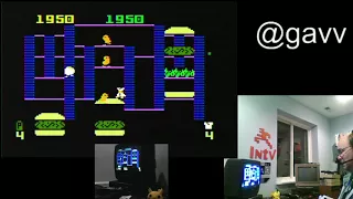 gavv plays intellivision burgertime speedrun