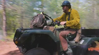 How prescribed fire helps keep a unique Georgia forest healthy