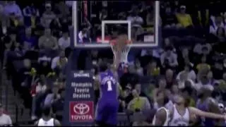 Amare Stoudemire 08 09 Season Highlight Reel