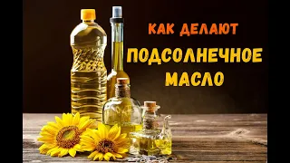 Как делают подсолнечное масло/How to make sunflower oil