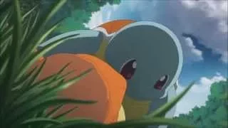 Squirtle used Bite