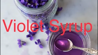 MAKING Wild Violet Syrup #flower #violetsyrup  #violets