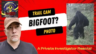 Private Investigator Reacts to Bigfoot Trail Cam [Deep Dive]