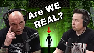 Joe Rogan & Elon Musk on The MYSTERY of Human CONSCIOUSNESS