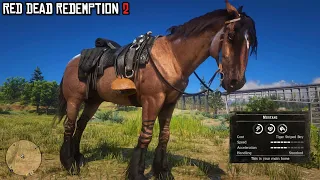 I found this Rare Mustang Horse Early for Arthur | Tiger Striped Bay Mustang | RDR2 | PS4 Slim