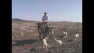 Warner Glenn Arizona  Lion Hunting Legend