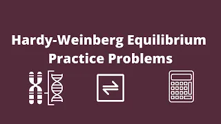 Hardy Weinberg Equation Practice