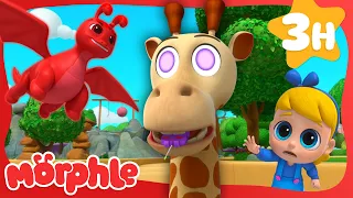 A Wild Day At The Zoo 🦒 | Stories for Kids | Cartoon Compilation | Morphle - Kids Cartoons