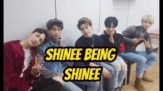 SHINee being SHINee