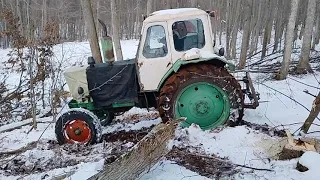 Деляна. Работа бензопилами в лесу. Уборка деляны. Зимняя валка леса. Терелевка леса на ЮМЗ