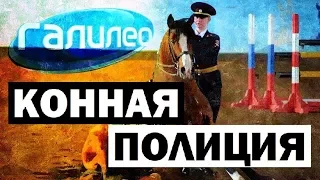 Галилео. Конная полиция 🐎👮 Mounted police