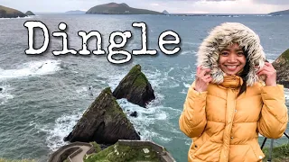 DINGLE Adventures | Ireland Travel Vlog