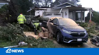 Residents uninjured after tree falls on Bay Area home, causes outages